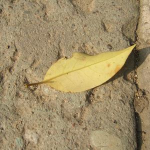 免费看的羞羞网站
