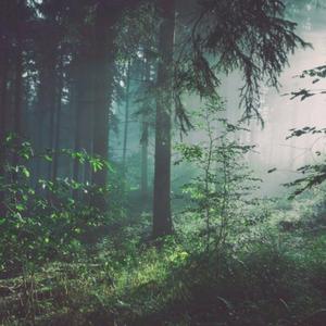 免费看的羞羞网站
