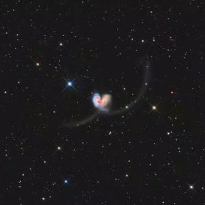 免费看的羞羞网站
